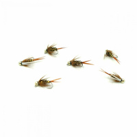 Nimfa Tungsten Prince natural hak#14 BL