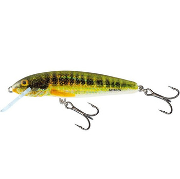 Wobler Salmo Minnow tonący 5cm 5g HOLO REAL MINNOW QMW044