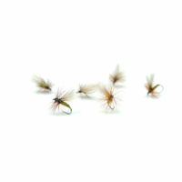 Sucha Mucha WP SEDGE HACKLED OLIVE #14 BL SM00014