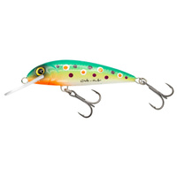 Wobler trociowy Wob-Art Kiełb DR XL 7,5cm 9g Kolor 67